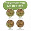 Weruva Dogs in The Kitchen Grain-Free Natural Canned Wet Dog Food - Doggie Dinner Dance Variety - 10 Ounce (Pack of 12)