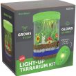 Light-Up Terrarium Kit for Kids - STEM Activities Science Craft Kits