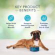Blue Buffalo Freedom Grain Free Recipe for Dog, dog food, Chicken Recipe, 11 lb
