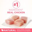 Purina ONE Healthy Kitten Formula Kitten Food, Chicken - Dry Cat 16 LBS