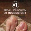 Purina ONE SmartBlend True Instinct Adult Canned Wet Dog Food, Grain Free Chicken & Duck