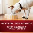Purina ONE SmartBlend True Instinct Adult Canned Wet Dog Food, Grain Free Chicken & Duck