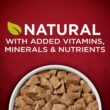 Purina ONE SmartBlend True Instinct Adult Canned Wet Dog Food, Gravy, True Instinct - Turkey & Venison