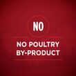 Purina ONE SmartBlend True Instinct Adult Canned Wet Dog Food, Gravy, True Instinct - Turkey & Venison