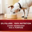 Purina ONE SmartBlend True Instinct Adult Canned Wet Dog Food, Gravy, True Instinct - Turkey & Venison