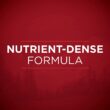 Purina ONE SmartBlend True Instinct Adult Canned Wet Dog Food, Gravy, True Instinct - Turkey & Venison