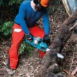 Makita XCU07Z 14 in. 18-Volt X2 (36-Volt) LXT Lithium-Ion Brushless Cordless Chain Saw (Tool-Only)