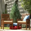 Walker Edison Furniture Company Boardwalk Dark Brown Acacia Outdoor Dining Chairs (Set of 2)