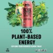 Yachak Yerba Mate Drink, Passionfruit, 16 Fl Oz, 12 Count
