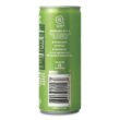 Izze Sparkling Juice, Apple, Multi, Pack of 24, 201.6 Fl Oz