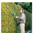 Makita XNU02T 18-Volt LXT Brushless 24 in. Pole Hedge Trimmer Kit (5.0 Ah)