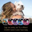 CESAR Soft Wet Dog Food Classic Loaf in Sauce Poultry Variety Pack, (24) 3.5 oz. Easy Peel Trays with Real Chicken, Turkey or Duck