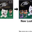 CESAR Soft Wet Dog Food Classic Loaf in Sauce Poultry Variety Pack, (24) 3.5 oz. Easy Peel Trays with Real Chicken, Turkey or Duck