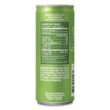 Izze Sparkling Juice, Apple, Multi, Pack of 24, 201.6 Fl Oz