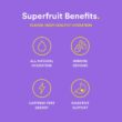 Lemon Perfect, Organic Cold-Pressed Lemon Water, Squeezed from Real Fruit, Flavored Water, Sugar-Free, Keto Certified, No Artificial Ingredients, Blueberry Açaí (12-Pack)