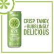 Izze Sparkling Juice, Apple, Multi, Pack of 24, 201.6 Fl Oz