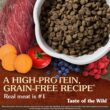 Taste of the Wild High Prairie Canine Grain-Free Recipe with Roasted Bison and Roasted Venison Adult Dry Dog Food