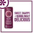 IZZE Sparkling Juice, Blackberry, 8.4 Fl Oz (24 Count)