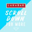 Larabar Peanut Butter Cookie, Gluten Free Vegan Fruit & Nut Bars, 16 ct Larabar Peanut Butter Cookie, Gluten Free Vegan Fruit & Nut Bars, 16 ct
