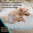 VICTOR Super Premium Dog Food Hi-Pro Plus Dry Dog Food 15 lb, 30% Protein, Gluten Free for High Energy and Active Dogs & Puppies
