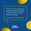 Lemon Perfect - Organic Cold-Pressed Lemon Water - Squeezed from Real Fruit, Flavored Water, Sugar-Free, Keto Certified, No Artificial Ingredients - 6-Flavor Variety Pack (12-pack)