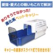 Van Ness Calm Carrier E-Z Load Sliding Drawer Cat Kennel
