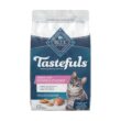 Blue Buffalo Sensitive Stomach Natural Adult Dry Cat Food, Chicken & Brown Rice 15-Lb