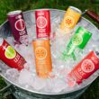 Izze Sparkling Juice, Apple, Multi, Pack of 24, 201.6 Fl Oz