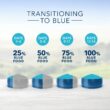 Blue Buffalo Life Protection Formula Adult Chicken & Brown Rice Recipe Dry Dog Food