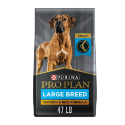 Purina Pro Plan High Protein, Digestive Health Large Breed Dry Dog Food, Chicken and Rice Formula - 47 lb. Bag