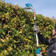 Makita XNU01T 18-Volt LXT Lithium-Ion Brushless 20 in. Articulating Pole Hedge Trimmer Kit (5.0 Ah)