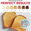 Dash Clearview Toaster, Black
