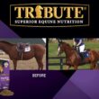 TRIBUTE Kalmbach Feeds Kalm 'N Ez Pellets for Horse, 50 lb