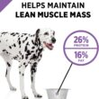 Purina Pro Plan Dry Dog Food, SPORT Active 26/16 Formula - 37.5 lb. Bag