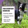 Purina Pro Plan Dry Dog Food, SPORT Active 26/16 Formula - 37.5 lb. Bag