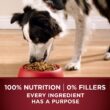 Purina ONE High Protein, Natural Dry Dog Food, True Instinct With Real Turkey and Venison - 27.5 lb. Bag