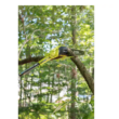 RYOBI RY40560 40V 10 in. Cordless Battery Pole Saw with 2.0 Ah Battery and Charger