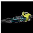 RYOBI RY25AXB 160 MPH 520 CFM 25cc Gas Jet Fan Blower RYOBI RY25AXB 160 MPH 520 CFM 25cc Gas Jet Fan Blower