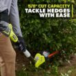 RYOBI RY40630 40V 18 in. Cordless Battery Pole Hedge Trimmer with 2.0 Ah Battery and Charger