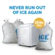 NewAir 28-lb Drop-Down Door Portable/Countertop Bullet Ice Maker (Silver)