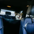 BarksBar Luxury Pet Car Seat Cover with Seat Anchors for Cars, (60" x 64") BarksBar Luxury Pet Car Seat Cover with Seat Anchors for Cars, (60" x 64")
