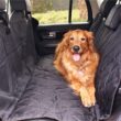 BarksBar Luxury Pet Car Seat Cover with Seat Anchors for Cars, (60" x 64") BarksBar Luxury Pet Car Seat Cover with Seat Anchors for Cars, (60" x 64")