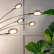 Brightech 74-in Oil Brushed Bronze Multi-head Floor Lamp