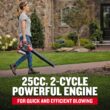 CRAFTSMAN B2200 25-cc 2-Cycle 200-MPH 430-CFM Handheld Gas Leaf Blower (CMXGAAMRBL25)