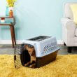 Petmate Two Door Pet Kennel for Pets up to 15 Pounds, Medium Blue