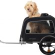 Retrospec Rover Waggin Dog Bike Trailer - Small & Medium Sized Dogs Bicycle Carrier - Foldable Frame with 16 Inch Wheels - Non-Slip Floor & Internal Leash (Black)