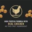 Purina Pro Plan Large Breed Dry Puppy Food Chicken and Rice Formula - 34 lb. Bag