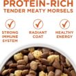Purina ONE Natural Weight Control Dry Dog Food, +Plus Healthy Weight Formula - 40 lb. Bag
