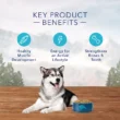 Blue Buffalo Wilderness High Protein, Natural Adult Dry Dog Food