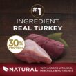 Purina ONE High Protein Natural Dry Dog Food, True Instinct With Real Turkey & Venison - 36 lb. Bag
